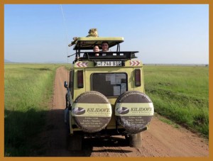 serengeti-safari-cheeta-op-dak-safari-jeep